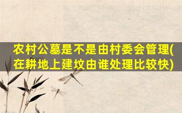 农村公墓是不是由村委会管理(在耕地上建坟由谁处理比较快)