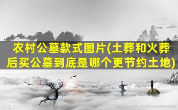 农村公墓款式图片(土葬和火葬后买公墓到底是哪个更节约土地)