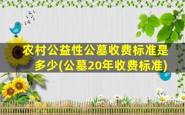 农村公益性公墓收费标准是多少(公墓20年收费标准)