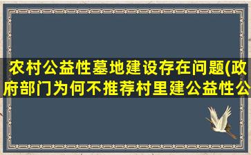 农村公益性墓地建设存在问题(政府部门为何不推荐村里建公益性公墓或骨灰楼)