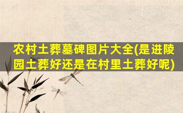 农村土葬墓碑图片大全(是进陵园土葬好还是在村里土葬好呢)