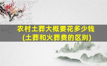农村土葬大概要花多少钱(土葬和火葬费的区别)