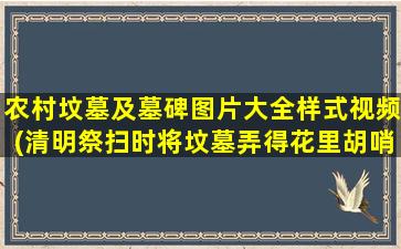 农村坟墓及墓碑图片大全样式视频(清明祭扫时将坟墓弄得花里胡哨的有意思吗)