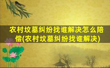 农村坟墓纠纷找谁解决怎么陪偿(农村坟墓纠纷找谁解决)