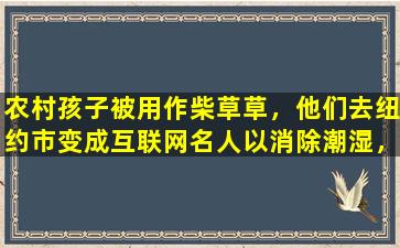 农村孩子被用作柴草草，他们去纽约市变成互联网名人以消除潮湿，而且价格上涨了100次。