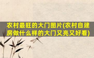 农村最旺的大门图片(农村自建房做什么样的大门又亮又好看)