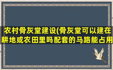 农村骨灰堂建设(骨灰堂可以建在耕地或农田里吗配套的马路能占用农田吗)