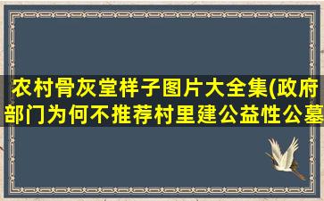 农村骨灰堂样子图片大全集(政府部门为何不推荐村里建公益性公墓或骨灰楼)