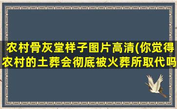 农村骨灰堂样子图片高清(你觉得农村的土葬会彻底被火葬所取代吗)