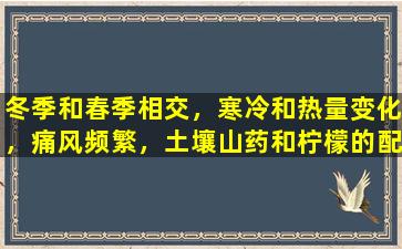 冬季和春季相交，寒冷和热量变化，痛风频繁，土壤山药和柠檬的配方：潮湿和热量清除关节的疼痛。