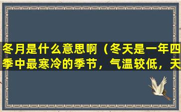 冬月是什么意思啊（冬天是一年四季中最寒冷的季节，气温较低，天气寒冷。）