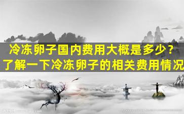冷冻卵子国内费用大概是多少？了解一下冷冻卵子的相关费用情况