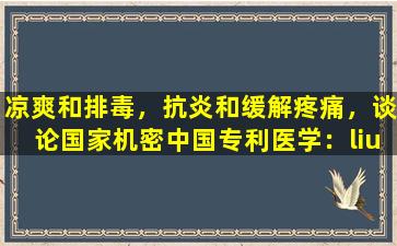 凉爽和排毒，抗炎和缓解疼痛，谈论国家机密中国专利医学：liushen丸