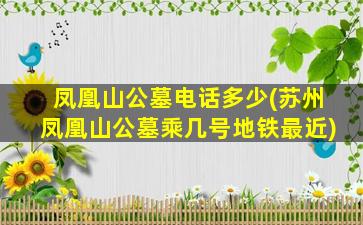 凤凰山公墓电话多少(苏州凤凰山公墓乘几号地铁最近)