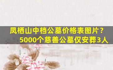 凤栖山中档公墓价格表图片？5000个慈善公墓仅安葬3人