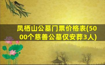 凤栖山公墓门票价格表(5000个慈善公墓仅安葬3人)