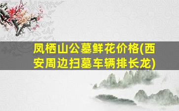 凤栖山公墓鲜花价格(西安周边扫墓车辆排长龙)