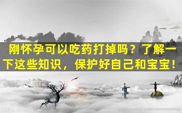刚怀孕可以吃药打掉吗？了解一下这些知识，保护好自己和宝宝！