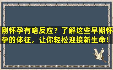 刚怀孕有啥反应？了解这些早期怀孕的体征，让你轻松迎接新生命！