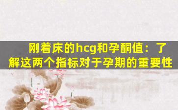 刚着床的hcg和孕酮值：了解这两个指标对于孕期的重要性