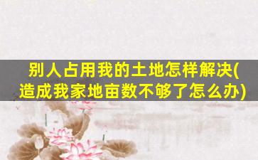 别人占用我的土地怎样解决(造成我家地亩数不够了怎么办)