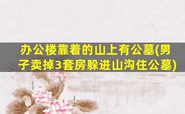 办公楼靠着的山上有公墓(男子卖掉3套房躲进山沟住公墓)