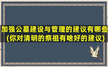 加强公墓建设与管理的建议有哪些(你对清明的祭祖有啥好的建议)