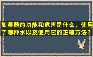 加湿器的功能和危害是什么，使用了哪种水以及使用它的正确方法？