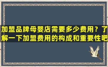 加盟品牌母婴店需要多少费用？了解一下加盟费用的构成和重要性吧！