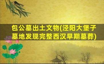 包公墓出土文物(泾阳大堡子墓地发现完整西汉早期墓葬)