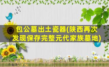包公墓出土瓷器(陕西再次发现保存完整元代家族墓地)