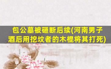 包公墓被砸断后续(河南男子酒后用挖坟者的木棍将其打死)