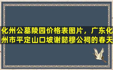 化州公墓陵园价格表图片，广东化州市平定山口坡谢懿穆公祠的春天