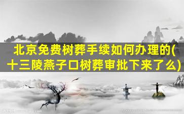 北京免费树葬手续如何办理的(十三陵燕子口树葬审批下来了么)