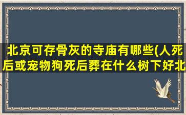 北京可存骨灰的寺庙有哪些(人死后或宠物狗死后葬在什么树下好北京有做骨灰钻石的公司吗)