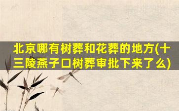 北京哪有树葬和花葬的地方(十三陵燕子口树葬审批下来了么)