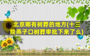 北京哪有树葬的地方(十三陵燕子口树葬审批下来了么)