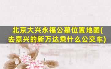 北京大兴永福公墓位置地图(去嘉兴的新万达乘什么公交车)