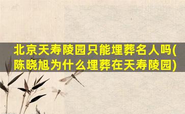北京天寿陵园只能埋葬名人吗(陈晓旭为什么埋葬在天寿陵园)