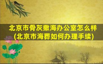北京市骨灰撒海办公室怎么样(北京市海葬如何办理手续)