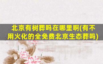 北京有树葬吗在哪里啊(有不用火化的全免费北京生态葬吗)
