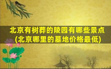 北京有树葬的陵园有哪些景点(北京哪里的墓地价格最低)