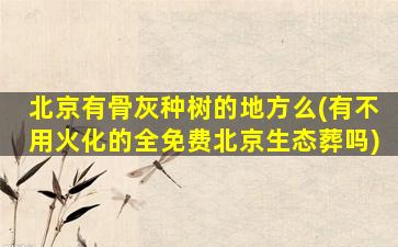 北京有骨灰种树的地方么(有不用火化的全免费北京生态葬吗)