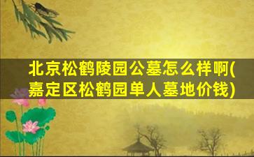 北京松鹤陵园公墓怎么样啊(嘉定区松鹤园单人墓地价钱)
