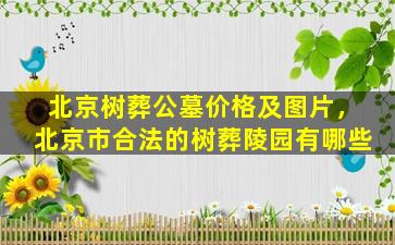 北京树葬公墓价格及图片，北京市合法的树葬陵园有哪些