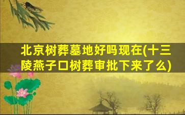 北京树葬墓地好吗现在(十三陵燕子口树葬审批下来了么)