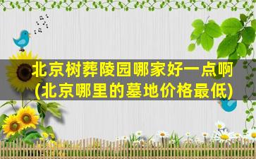 北京树葬陵园哪家好一点啊(北京哪里的墓地价格最低)