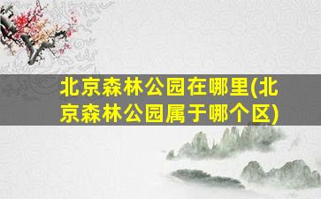 北京森林公园在哪里(北京森林公园属于哪个区)