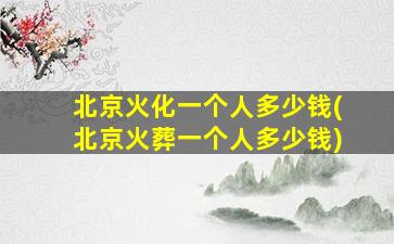 北京火化一个人多少钱(北京火葬一个人多少钱)