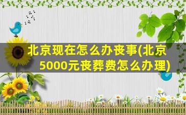 北京现在怎么办丧事(北京5000元丧葬费怎么办理)